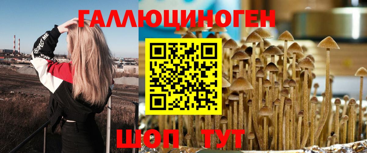 Галлюциногенные грибы прущие грибы Нальчик